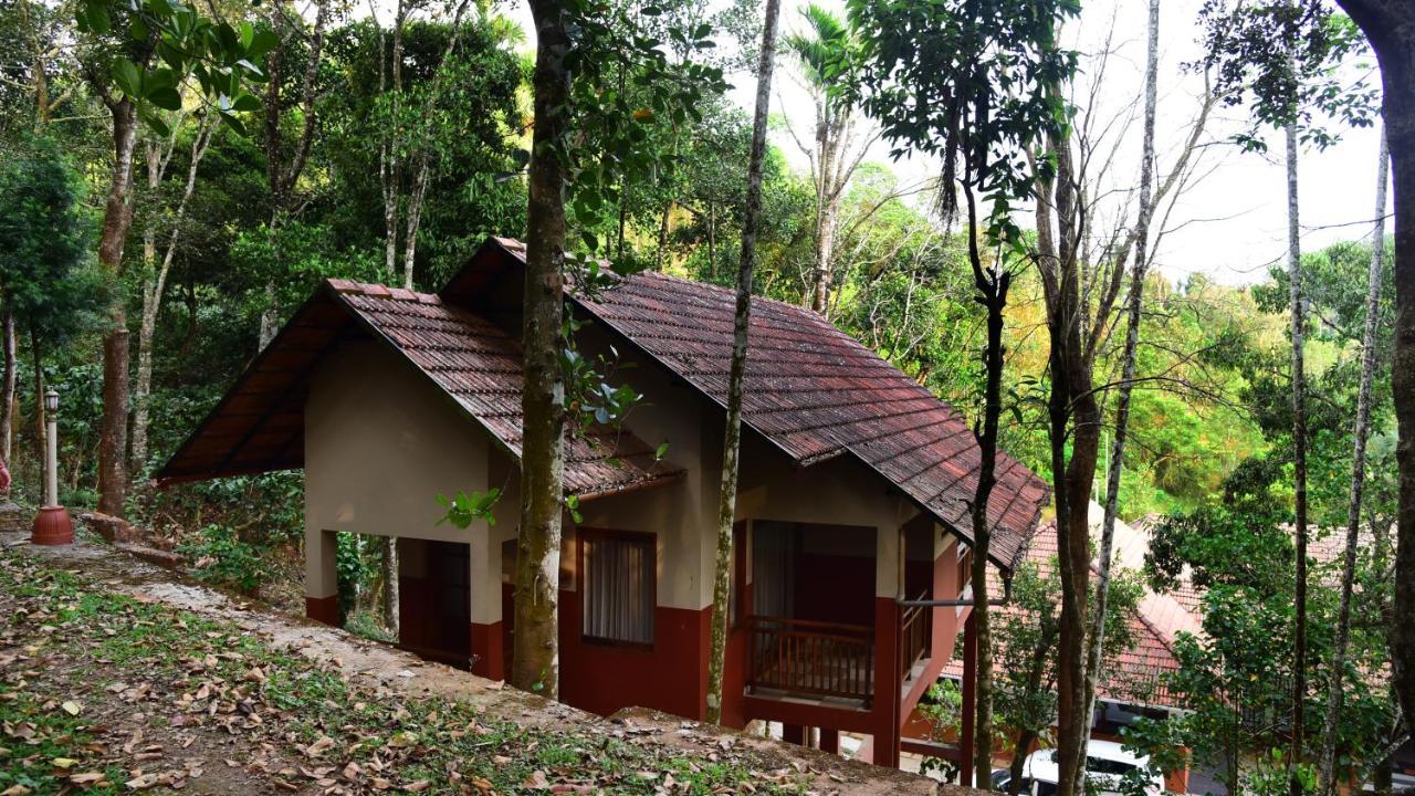 Terrace Resorts Wayanad Εξωτερικό φωτογραφία