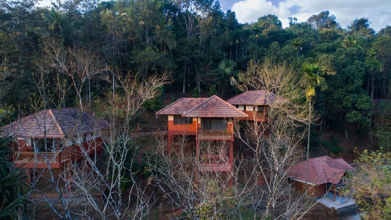 Terrace Resorts Wayanad Εξωτερικό φωτογραφία