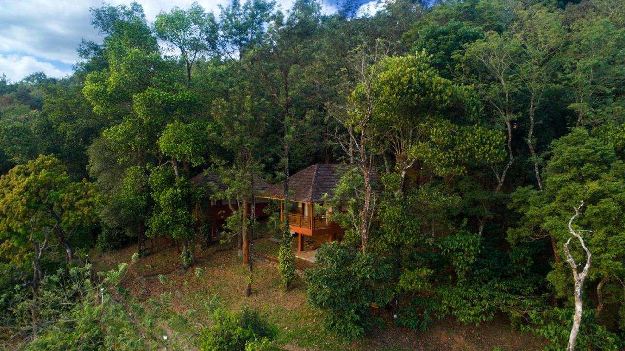 Terrace Resorts Wayanad Εξωτερικό φωτογραφία
