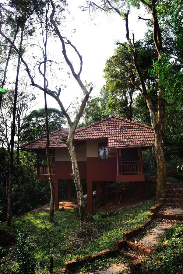 Terrace Resorts Wayanad Εξωτερικό φωτογραφία